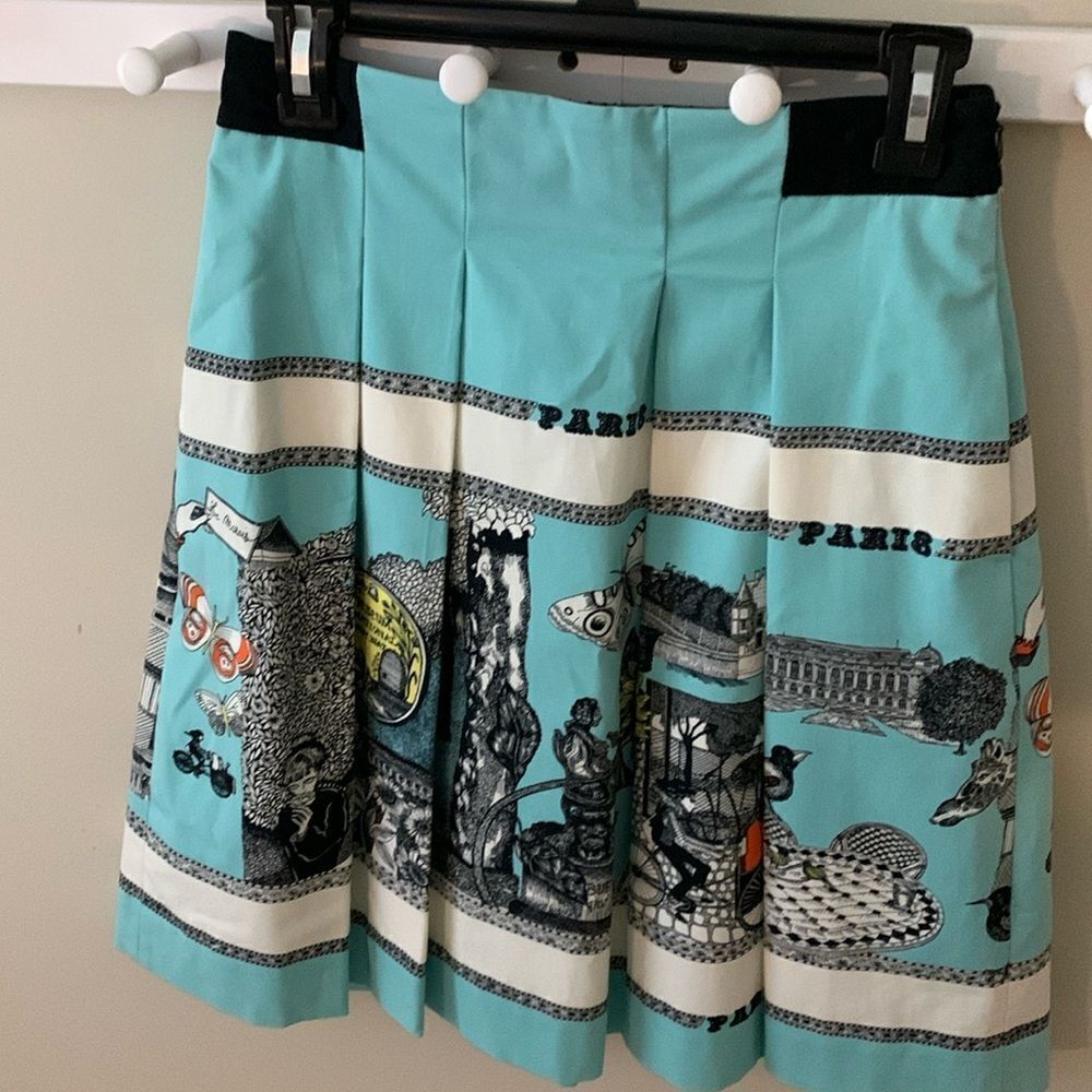Anthropologie Drawing by Florence Balducci skirt